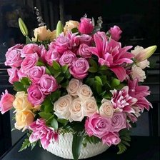 Cross stitch pattern: #2585963