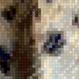 Preview of cross stitch pattern: #2586661