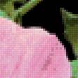 Preview of cross stitch pattern: #2587637