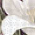 Preview of cross stitch pattern: #2590670