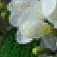 Preview of cross stitch pattern: #2591615