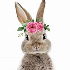 Cross stitch pattern: #2594173