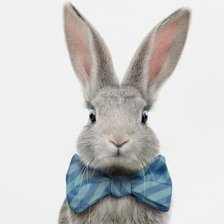 Cross stitch pattern: #2594174