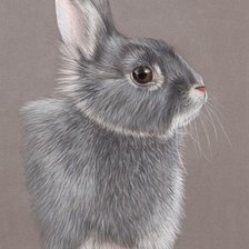 Cross stitch pattern: #2595614