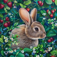 Cross stitch pattern: #2595625