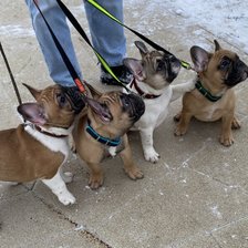 Cross stitch pattern: #2596443