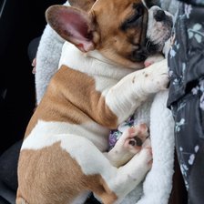 Cross stitch pattern: #2596444