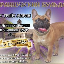 Cross stitch pattern: #2596446