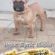 Cross stitch pattern: #2596447