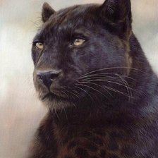 Cross stitch pattern: #2596735