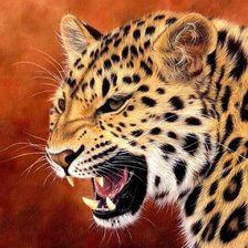 Cross stitch pattern: #2596752