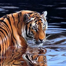 Cross stitch pattern: #2596756