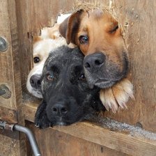 Cross stitch pattern: #2596762