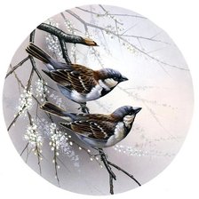 Cross stitch pattern: #2596781