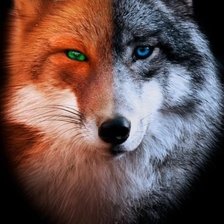 Cross stitch pattern: #2596790