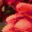 Preview of cross stitch pattern: #2597291