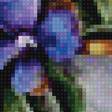 Preview of cross stitch pattern: #2597407