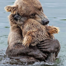 Cross stitch pattern: #2598705