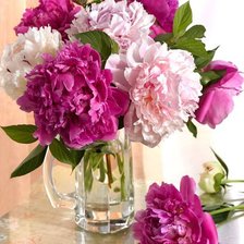 Cross stitch pattern: #2599141