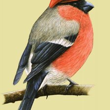 Cross stitch pattern: #2599217