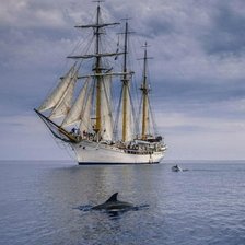 Cross stitch pattern: #2599505