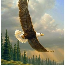 Cross stitch pattern: #2600224