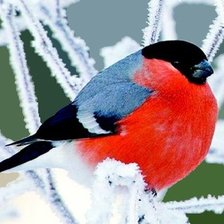 Cross stitch pattern: #2600500