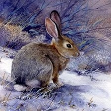 Cross stitch pattern: #2604354