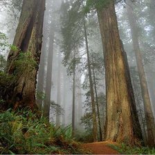 Cross stitch pattern: #2604467