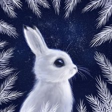 Cross stitch pattern: #2604664