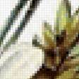 Preview of cross stitch pattern: #2606470