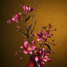 Cross stitch pattern: #2618873