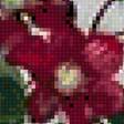 Preview of cross stitch pattern: #2620242