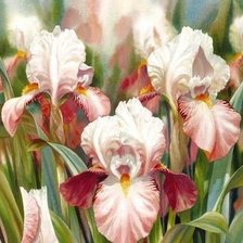 Cross stitch pattern: #2621520