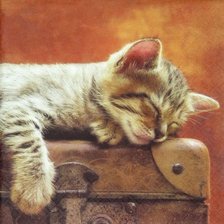 Cross stitch pattern: #2626343