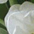 Preview of cross stitch pattern: #2627310