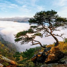 Cross stitch pattern: #2628398