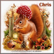 Cross stitch pattern: #2628921