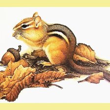 Cross stitch pattern: #2629054