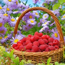 Cross stitch pattern: #2629271