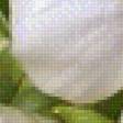 Preview of cross stitch pattern: #2629900