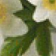 Preview of cross stitch pattern: #2630727