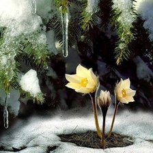 Cross stitch pattern: #2632775