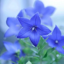 Cross stitch pattern: #2632777