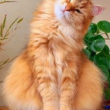 Cross stitch pattern: #2632784