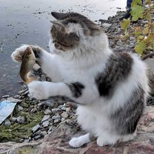 Cross stitch pattern: #2632785