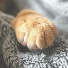 Cross stitch pattern: #2632786