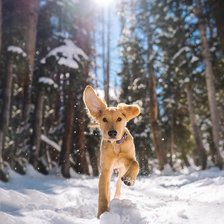 Cross stitch pattern: #2632788