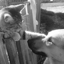 Cross stitch pattern: #2632790