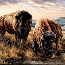 Cross stitch pattern: #2632832